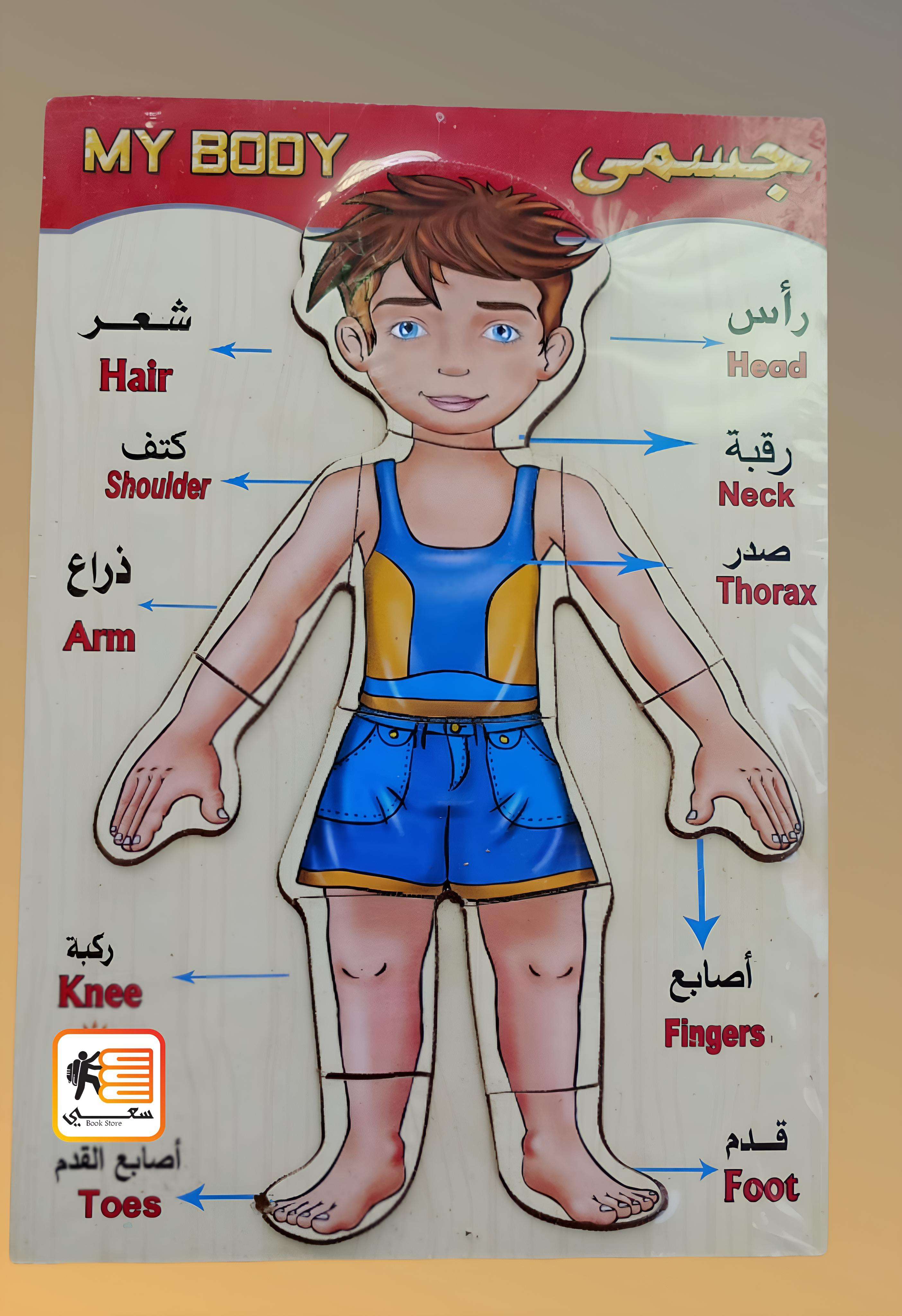 بازل المنتسورى التعليمى الخشبى (الجسم)