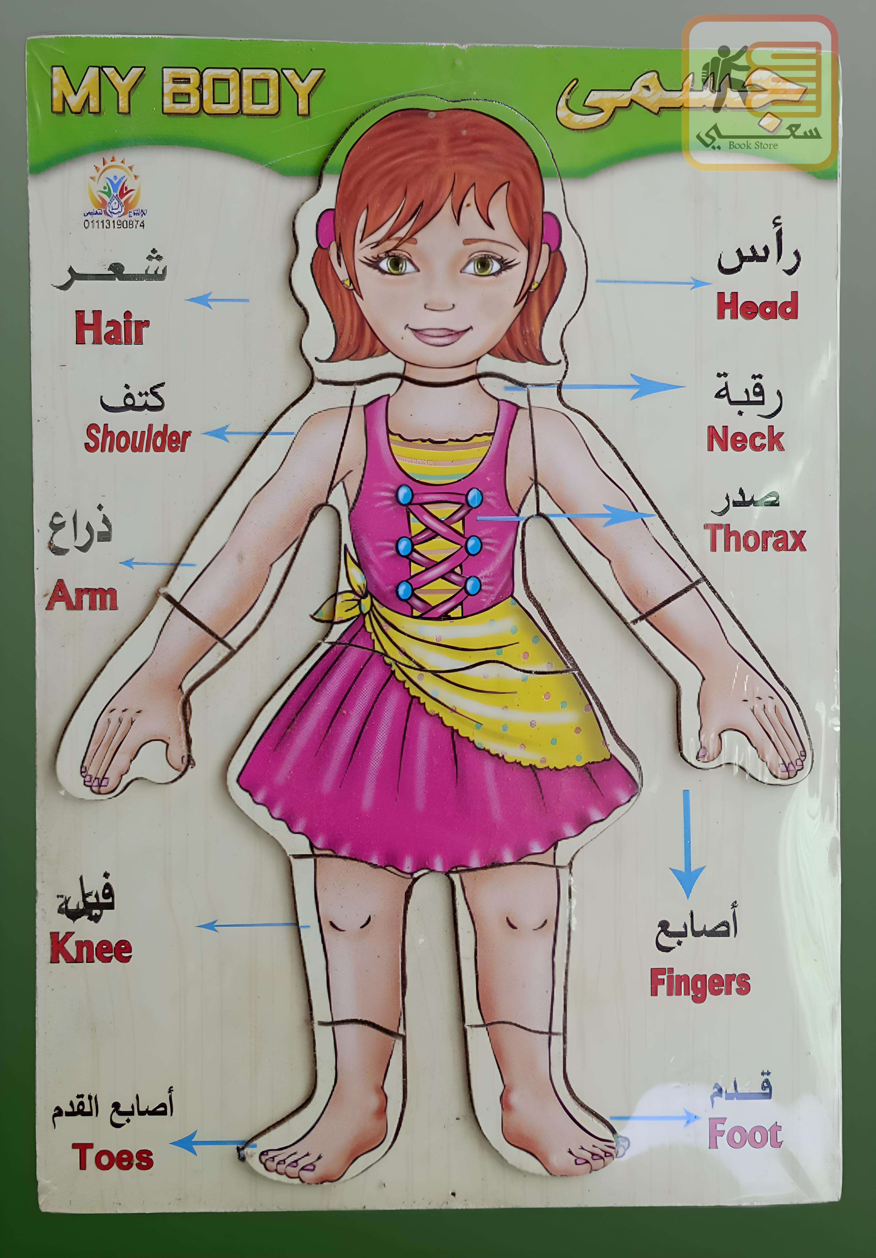 بازل المنتسورى التعليمى الخشبى (الجسم)