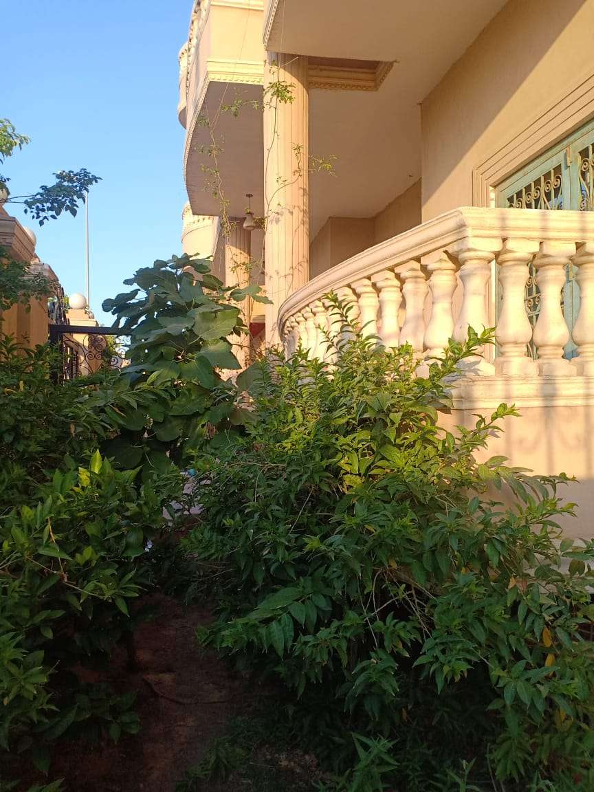 للايجار بنتهاوس ممتازة بأفضل موقع بالنرجس