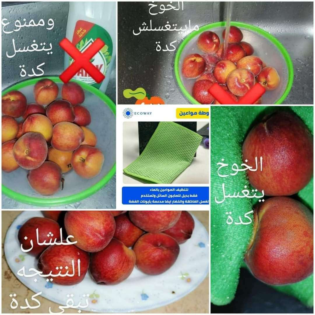 فوطة الاطباق والفاكهه