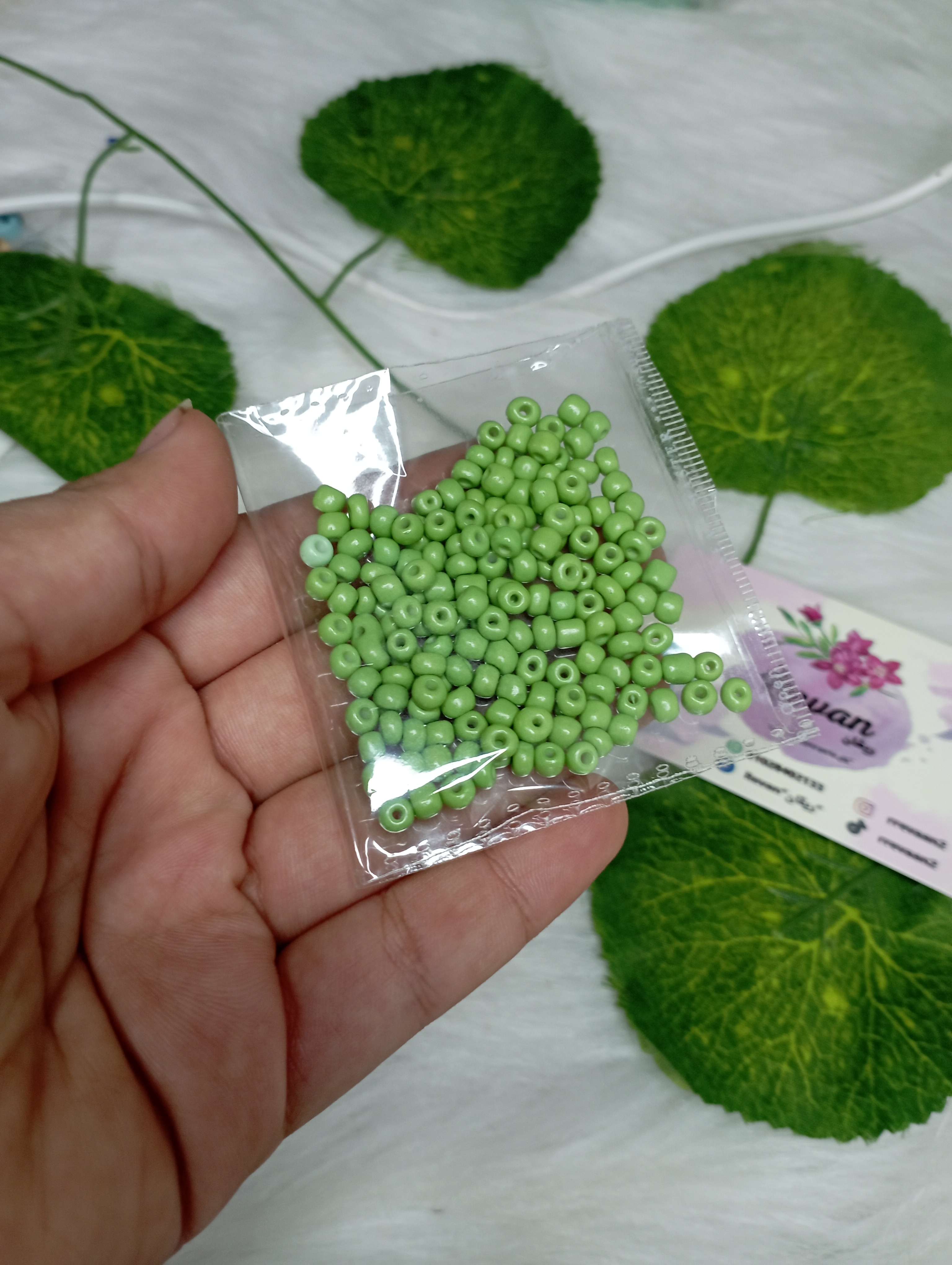 تفسيره كيوي