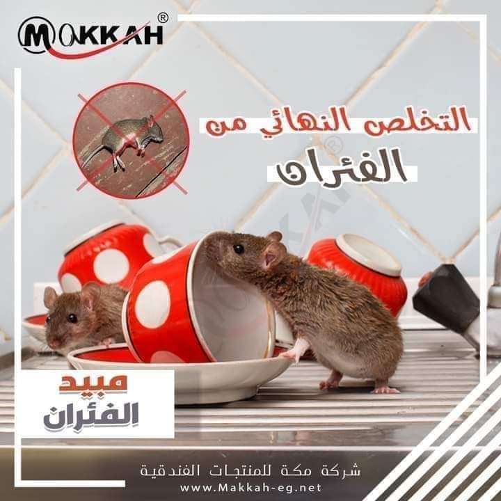 عجينة الفئران