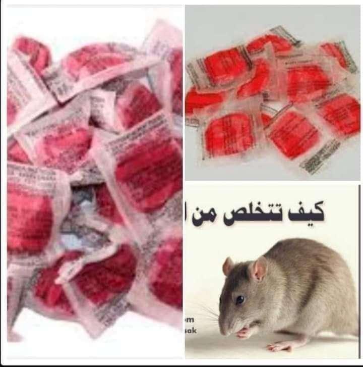 مبيد عجينه الفئران