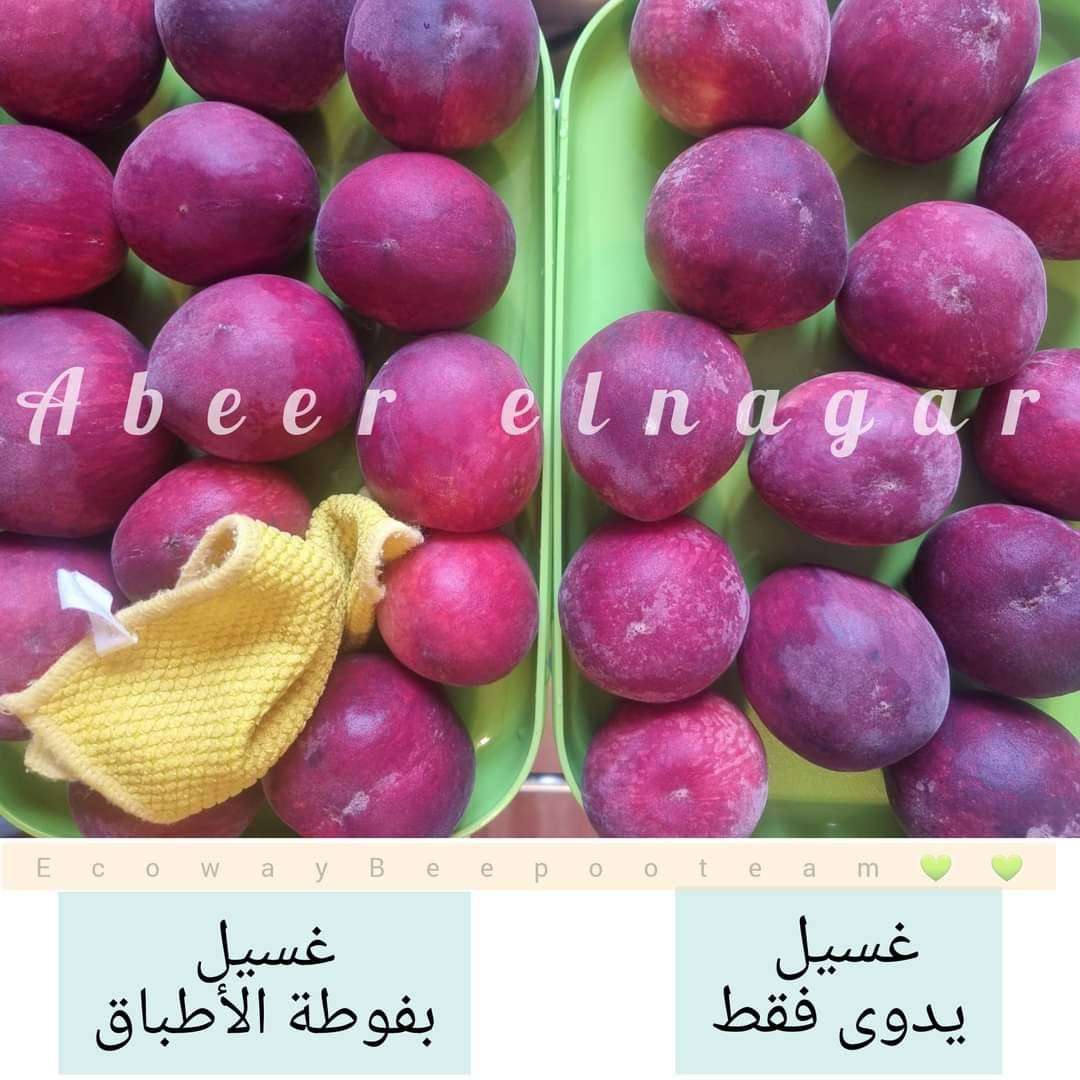 فوطه الاطباق