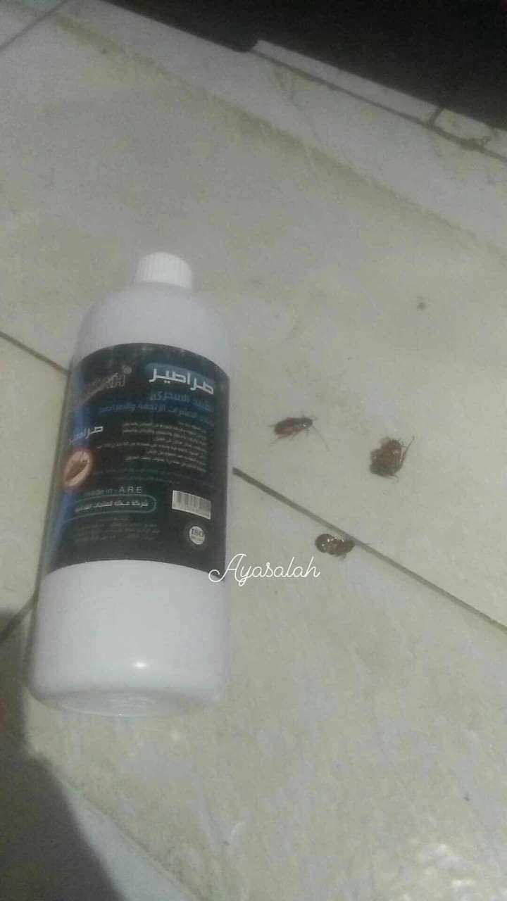 مبيد البق من شركة مكة الفندقية