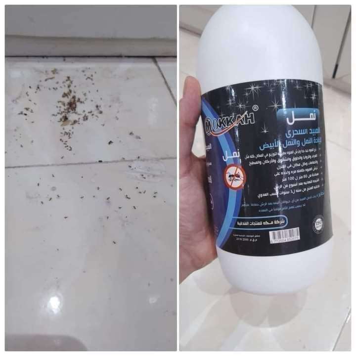 مبيد البق من شركة مكة الفندقية