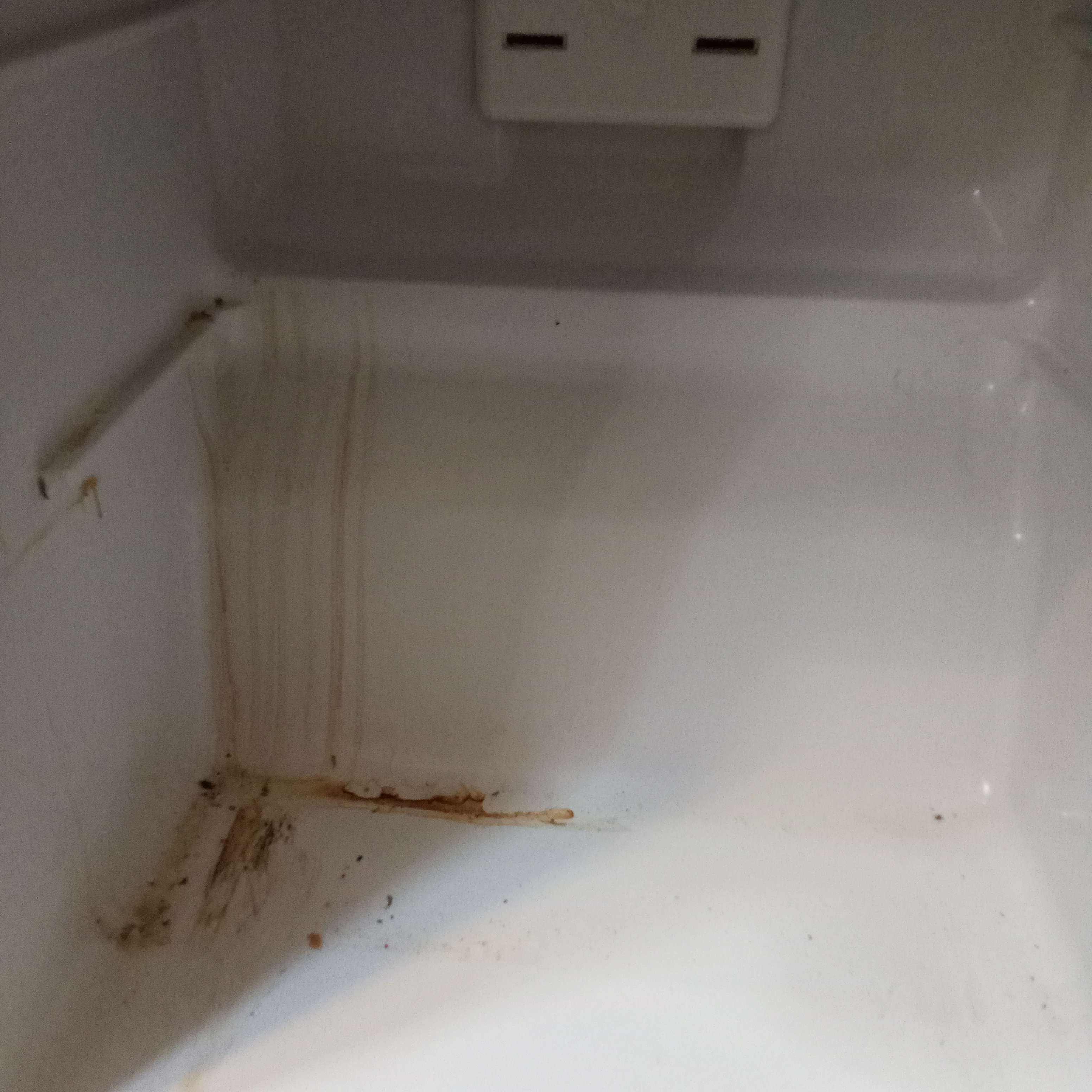 فوطة الأطباق