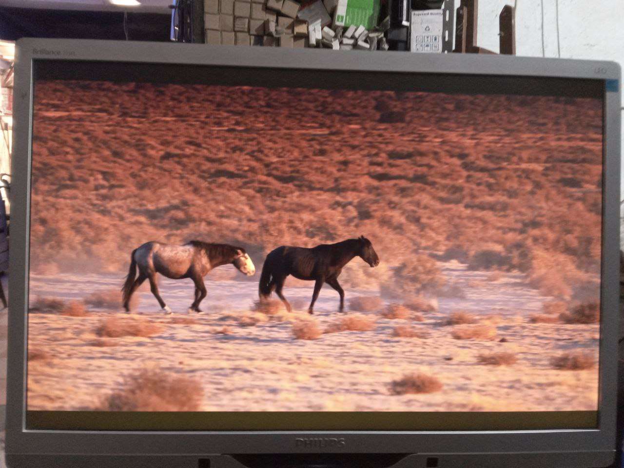 شاشه 22 بوصه فلبس Philips