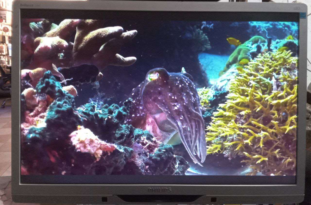 شاشه 22 بوصه فلبس Philips