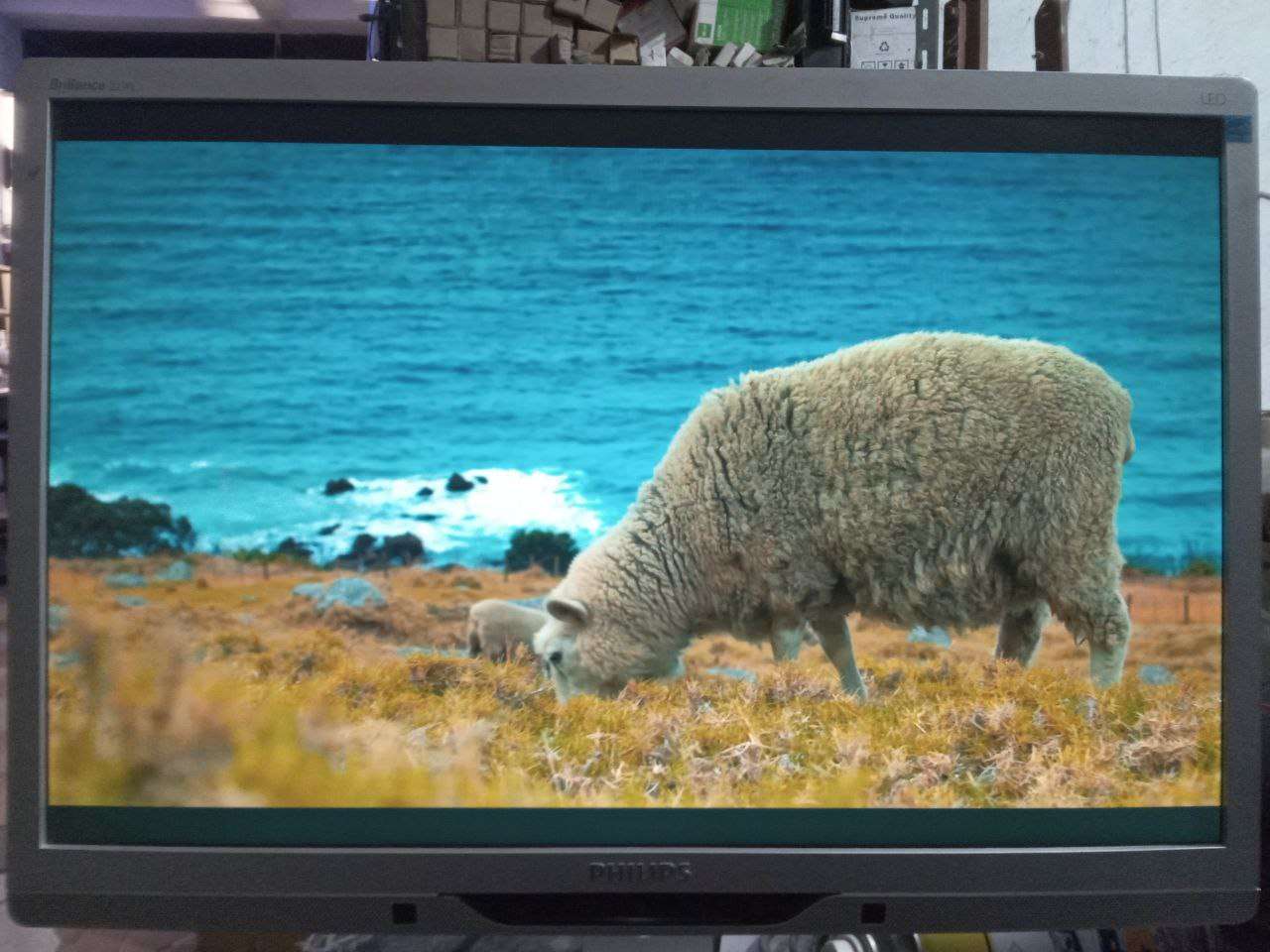 شاشه 22 بوصه فلبس Philips