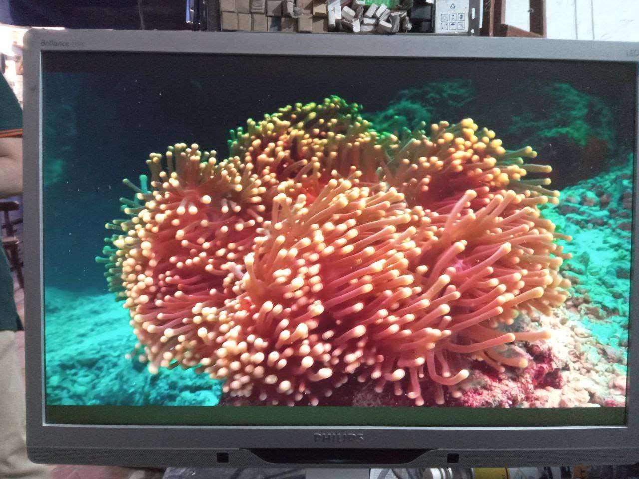 شاشه 22 بوصه فلبس Philips