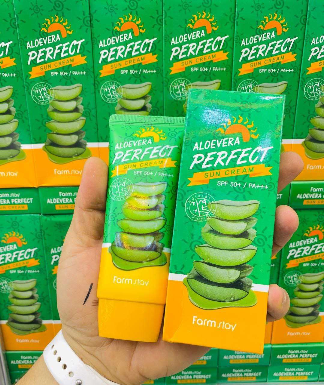 صن بلوك بجل الصبار