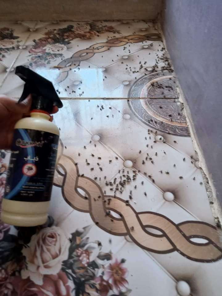 مبيد الذباب من شركة مكة الفندقية