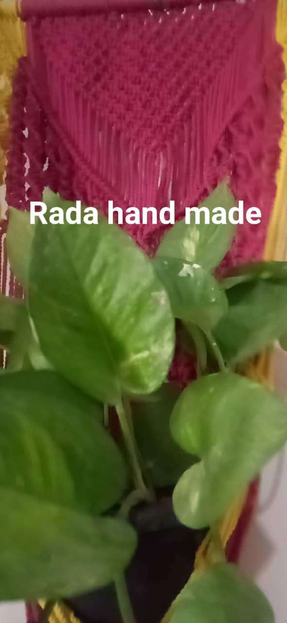 تعليقة مكرميه