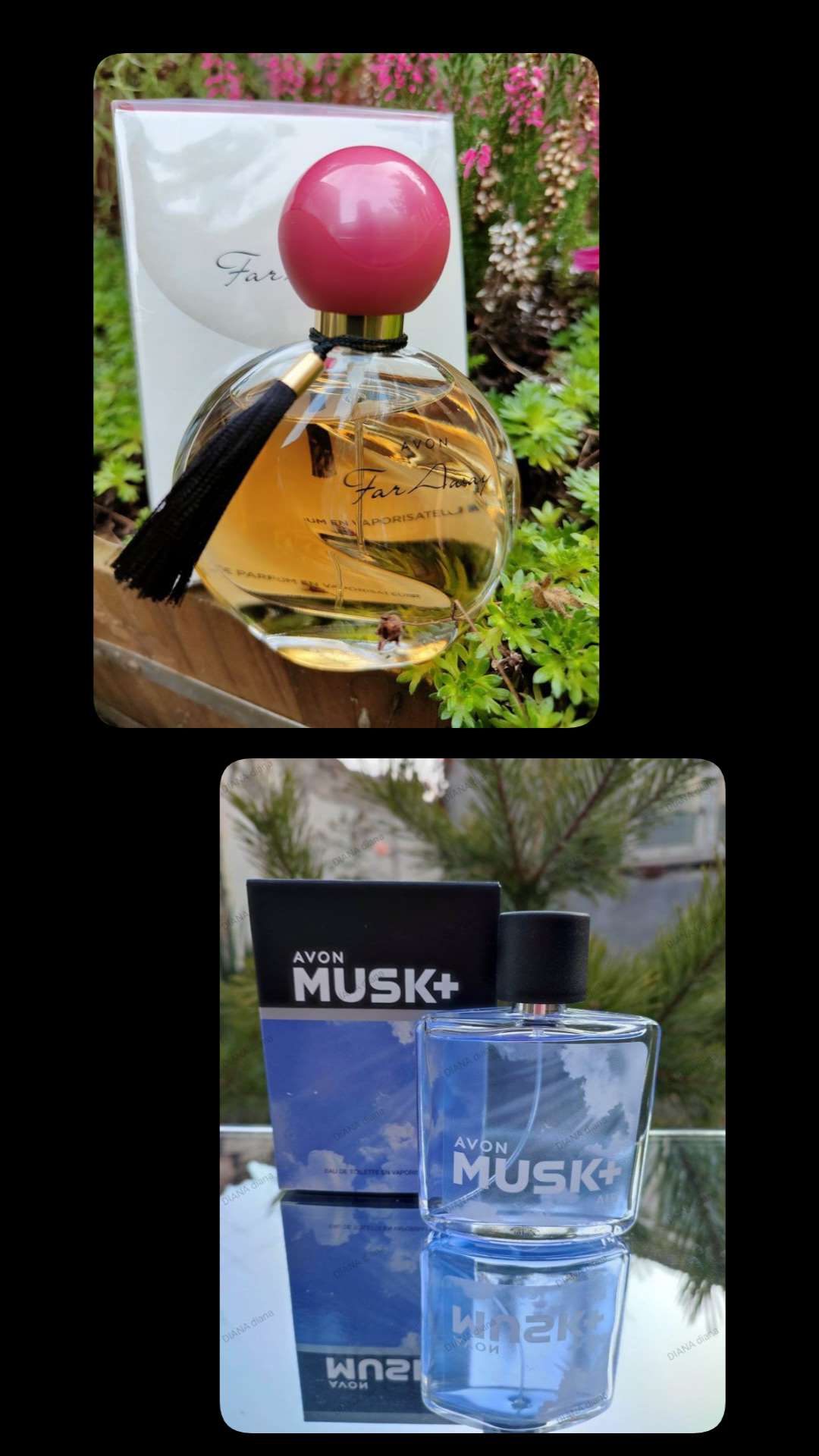 العرض دا ميتفتوتش فرواي وماسك 🧡🩵