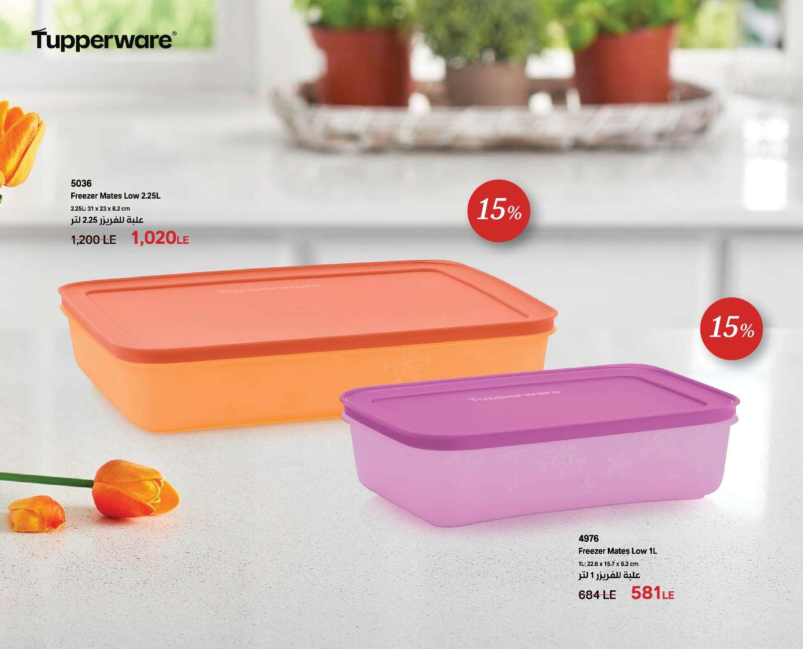 عضوية تابروير مجانا