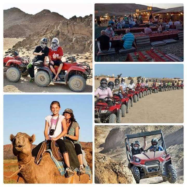 المهند لنقل والسياحة