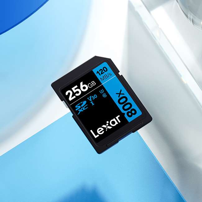Lexar High-Performance 256GB 800x SDHC Card UHS-I-LSD08000256G-BNNNG