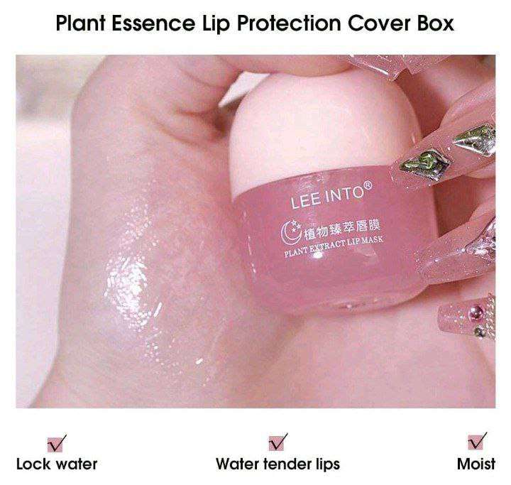 سيت ليب بالم مرطب شفايف للشتاء