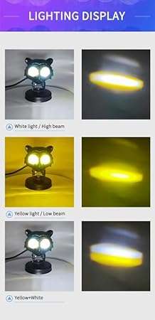 فوج عدسة تايجر اقتصادي