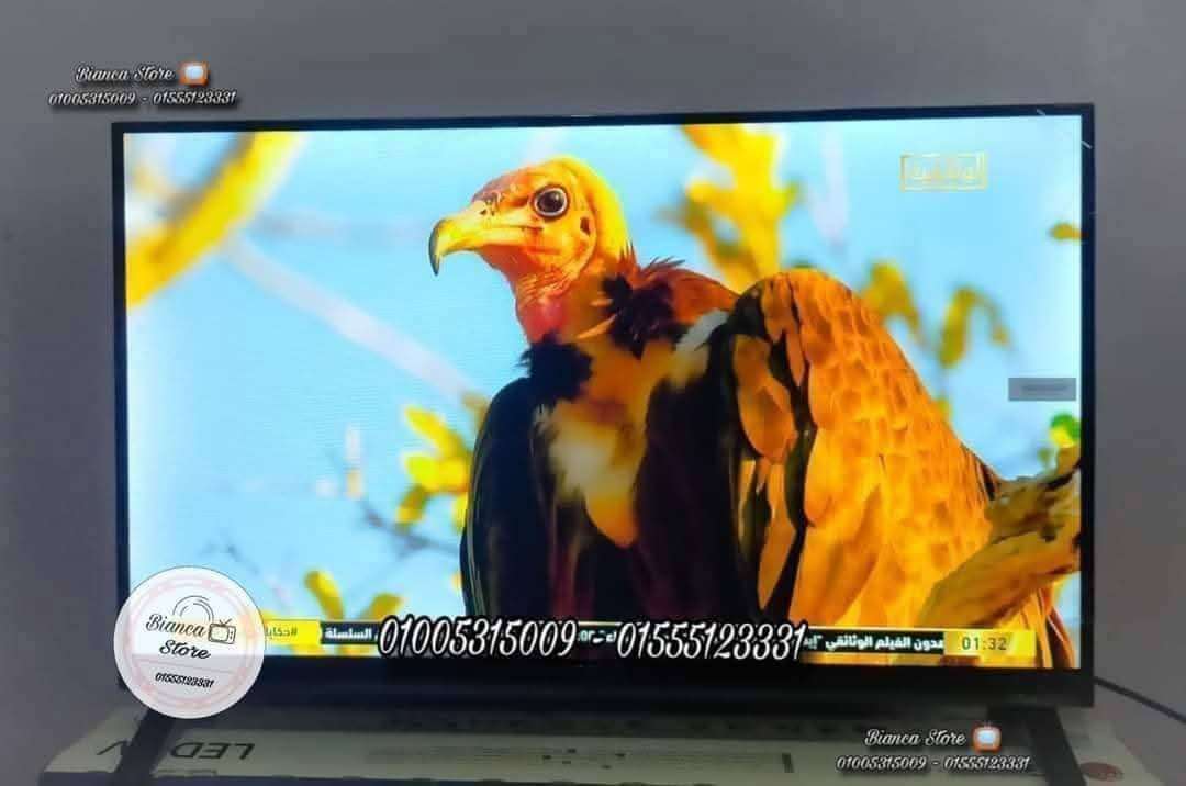 شاشة تلفزيون 32 بوصة فريمليس رسيفر داخلي Syinix E324M