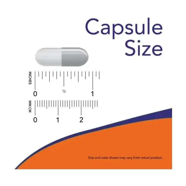 Now Acetyl L-Carnitine 500 mg 100 Veg Capsules اثتيل ال-كارنتين لدعم ص
