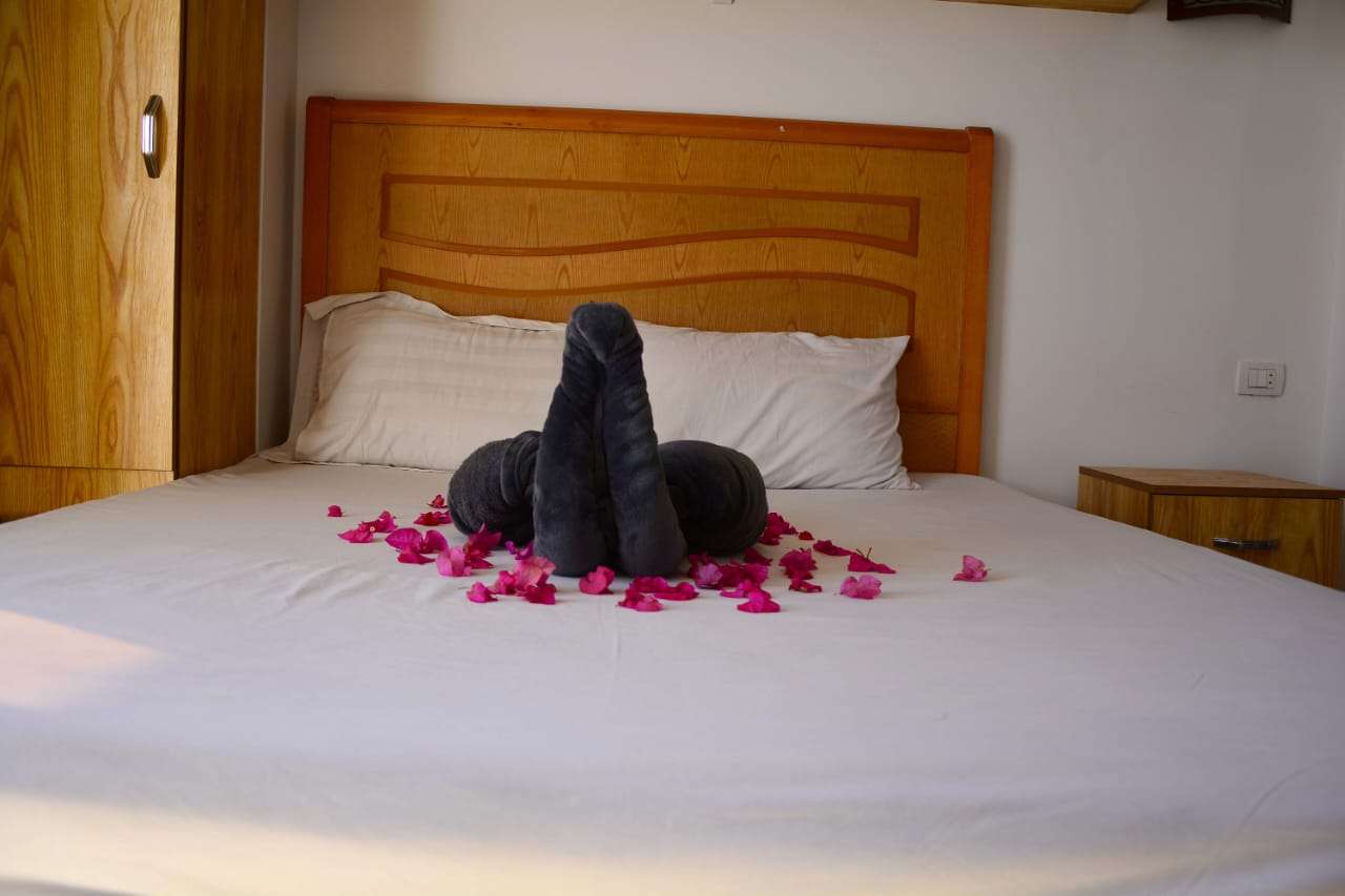 شاليه فندقي إقامة فقط