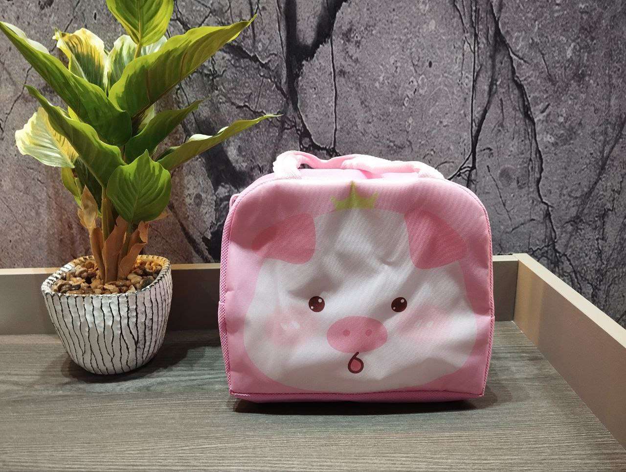 ميني لانش باج