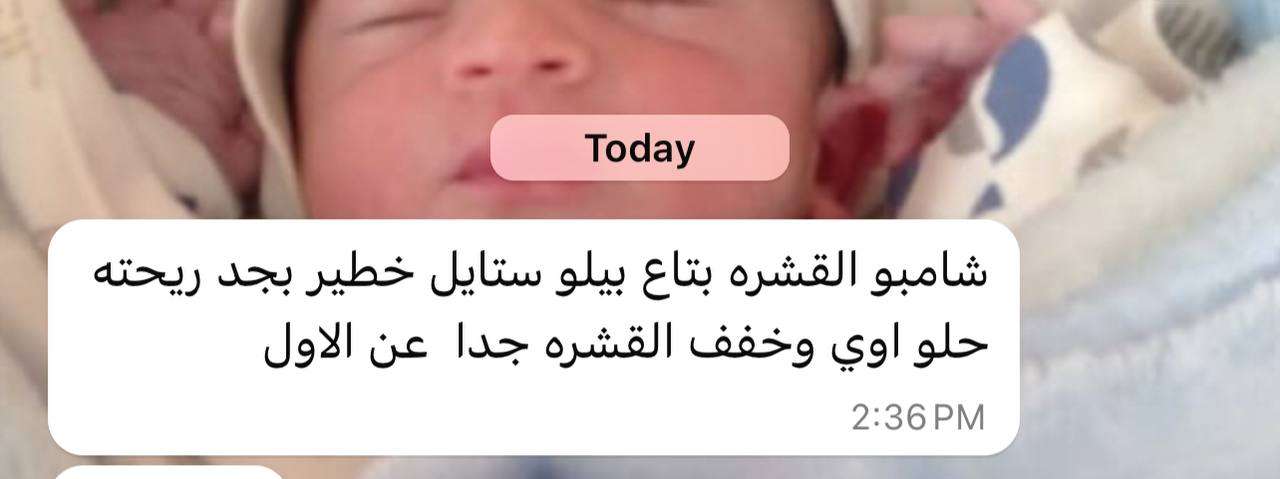 شامبو للقشره