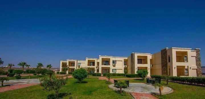 فندق النسور