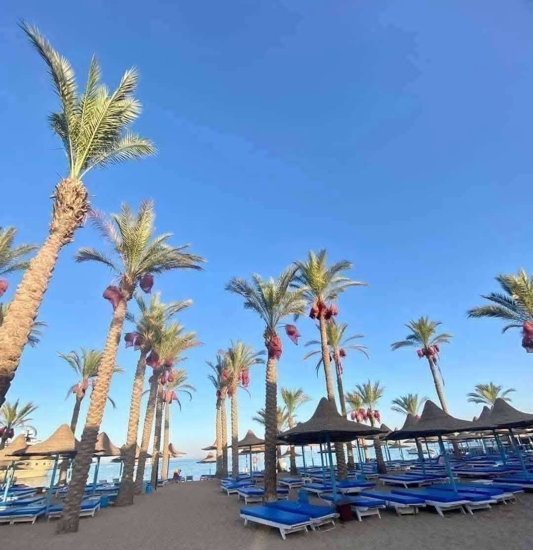 فندق مارلين إن