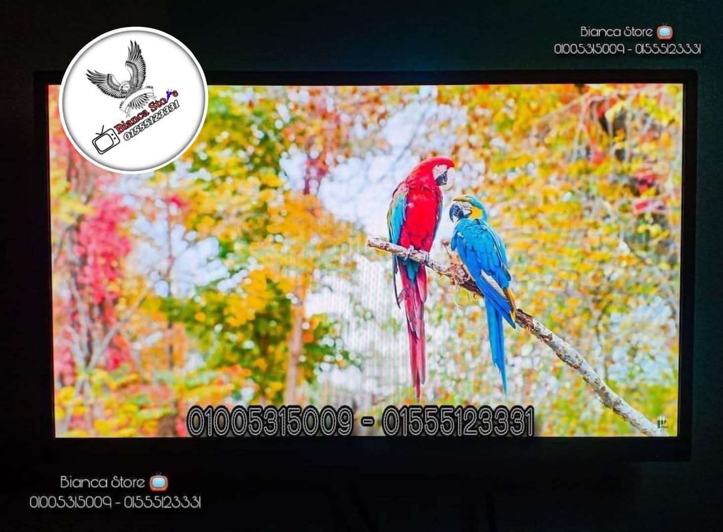 شاشة 24 بوصة LED FHD IPS سماعات داخلية