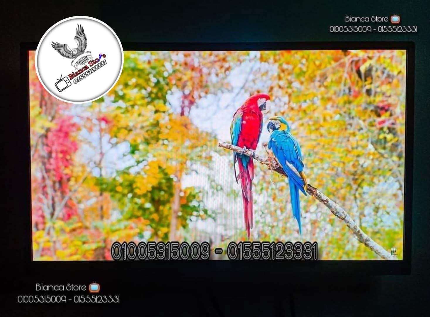 شاشة 24 بوصة Asus تايواني LED FHD IPS بالضمان