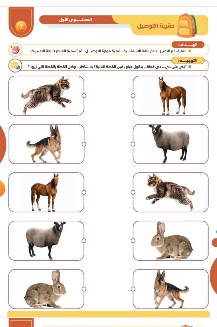 حقيبة التوصيل